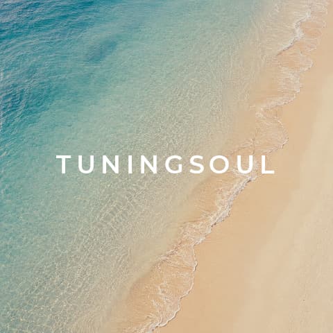 TuningSoul contact